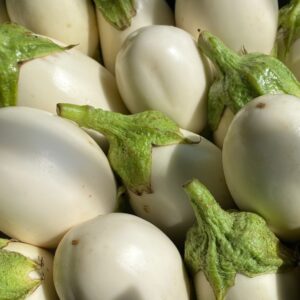 Berenjena blanca (Solanum melongena)